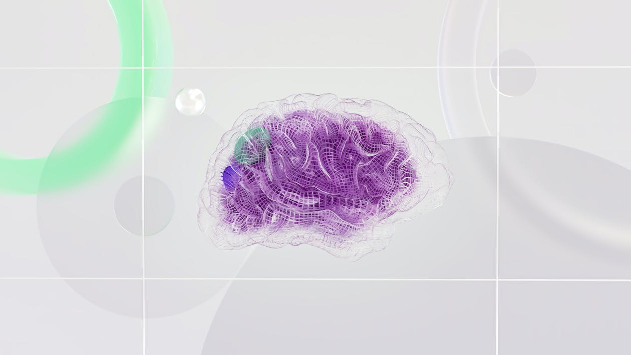 Abstract picture of a brain made up of an artificially-generated net.