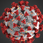 Structure of a Coronavirus.