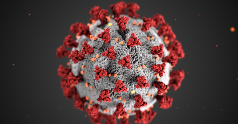 Structure of a Coronavirus.